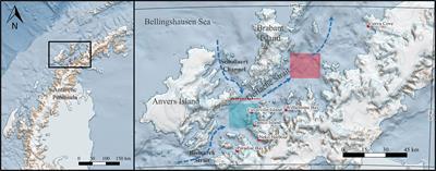 Phytoplankton dynamics in nearshore regions of the western Antarctic Peninsula in relation to a variable frontal zone in the Gerlache Strait